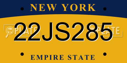 22JS285 New York License Plate
