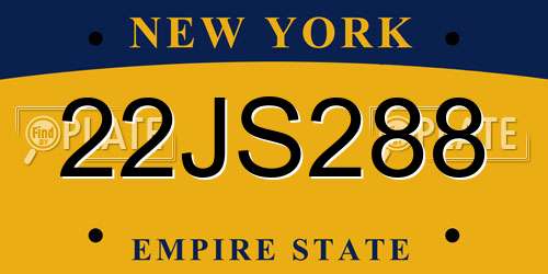 22JS288 New York License Plate