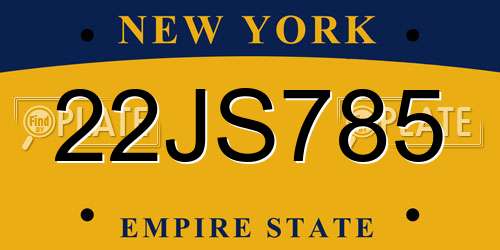 22JS785 New York License Plate