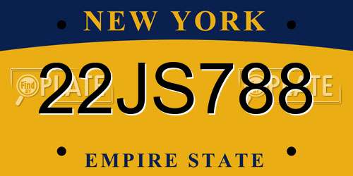 22JS788 New York License Plate