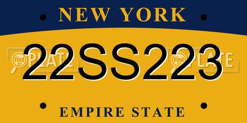 22SS223 New York License Plate