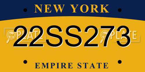 22SS273 New York License Plate