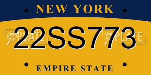22SS773 New York License Plate