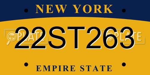 22ST263 New York License Plate
