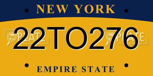 22TO276 New York License Plate