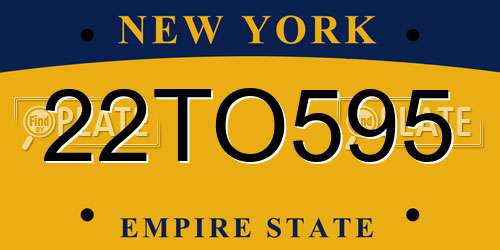 22TO595 New York License Plate