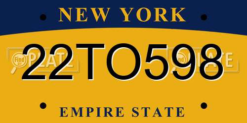 22TO598 New York License Plate