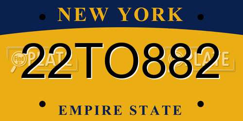 22TO882 New York License Plate