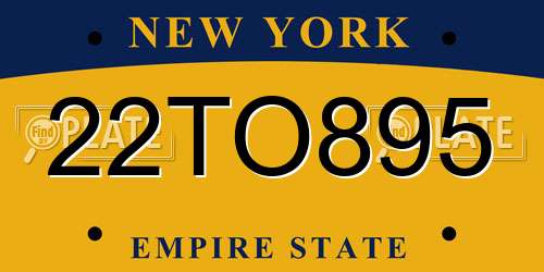 22TO895 New York License Plate