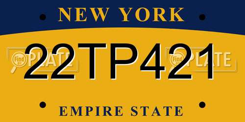 22TP421 New York License Plate