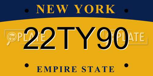 22TY90 New York License Plate
