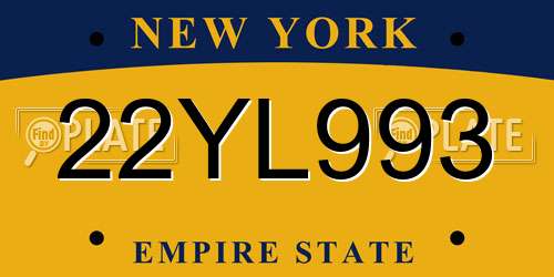 22YL993 New York License Plate