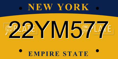 22YM577 New York License Plate