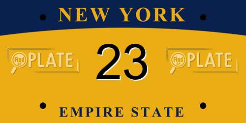 23 New York License Plate