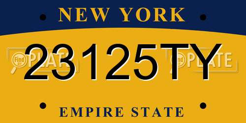 23125TY New York License Plate