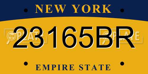 23165BR New York License Plate