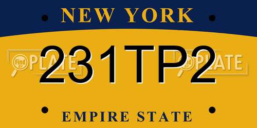 231TP2 New York License Plate