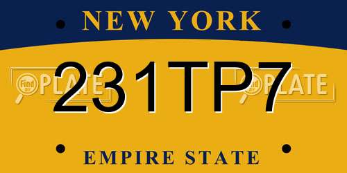 231TP7 New York License Plate