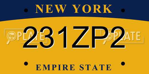 231ZP2 New York License Plate