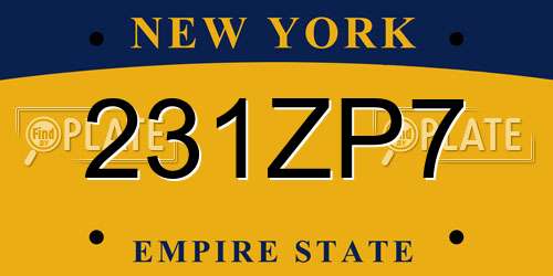 231ZP7 New York License Plate