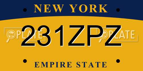231ZPZ New York License Plate