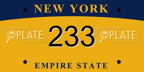 233 New York License Plate