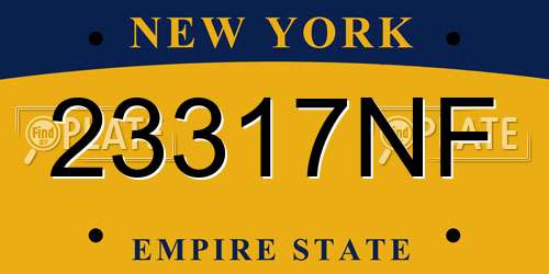 23317NF New York License Plate
