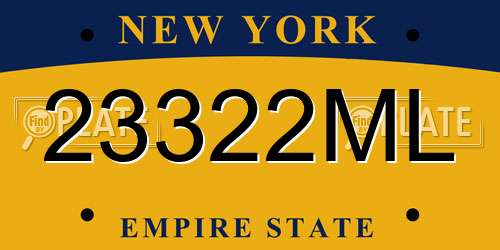 23322ML New York License Plate
