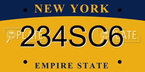 234SC6 New York License Plate