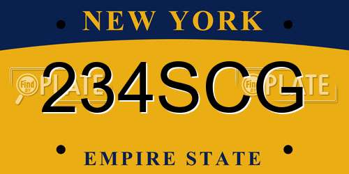 234SCG New York License Plate