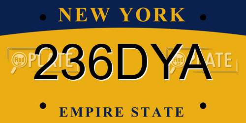 236DYA New York License Plate