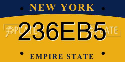 236EB5 New York License Plate