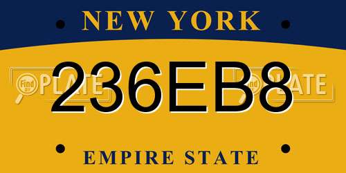 236EB8 New York License Plate