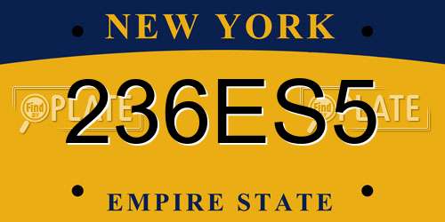 236ES5 New York License Plate