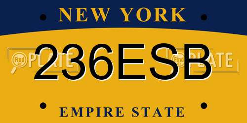 236ESB New York License Plate