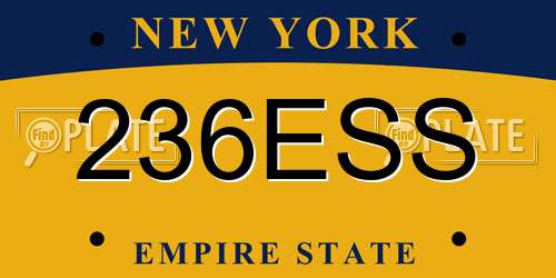 236ESS New York License Plate