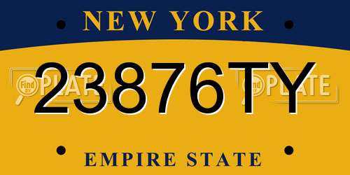 23876TY New York License Plate