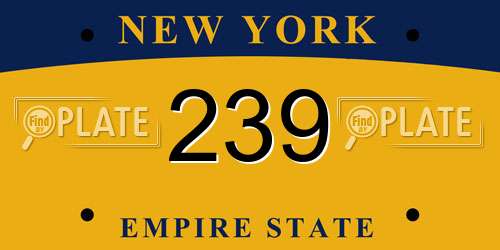 239 New York License Plate