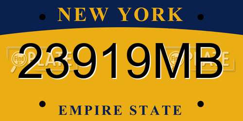 23919MB New York License Plate