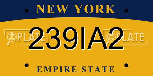 239IA2 New York License Plate