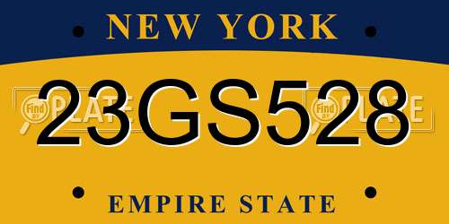 23GS528 New York License Plate