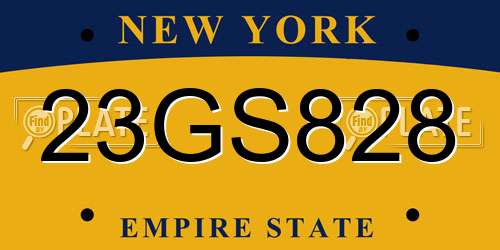 23GS828 New York License Plate