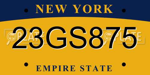 23GS875 New York License Plate