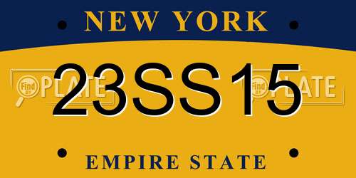 23SS15 New York License Plate