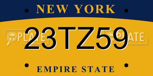 23TZ59 New York License Plate