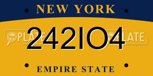 242IO4 New York License Plate