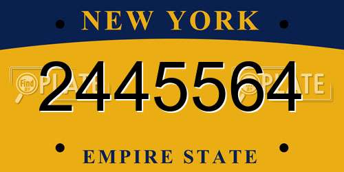 2445564 New York License Plate