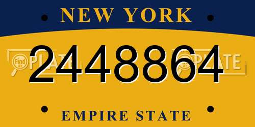 2448864 New York License Plate