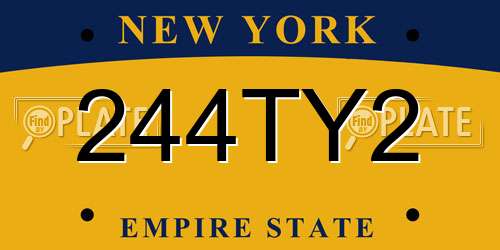 244TY2 New York License Plate