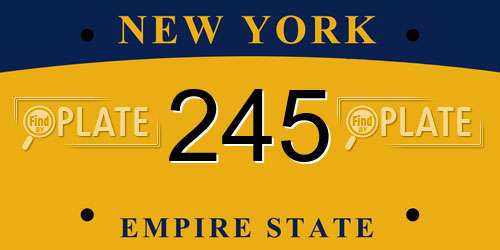 245 New York License Plate